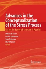 Advances in the Conceptualization of the Stress Process