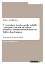principio de interes superior del nino como presupuesto de garantia de efectividad en el Sistema Interamericano de Derechos Humanos