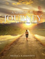 Spiritual Journey Continued- through the New Testament.