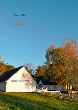 Solvkaer