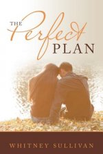 Perfect Plan
