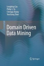 Domain Driven Data Mining