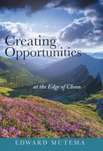 Creating Opportunities at the Edge of Chaos