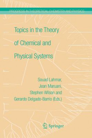 Topics in the Theory of Chemical and Physical Systems