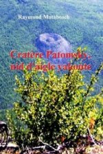 Cratere Patomsky, 