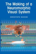 Making of a Neuromorphic Visual System