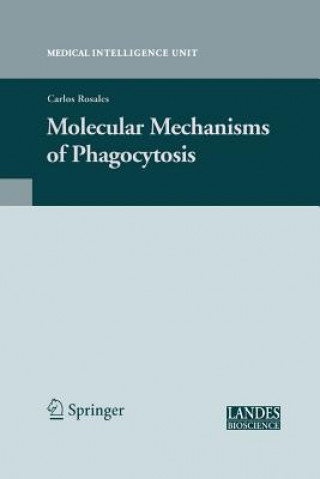 Molecular Mechanisms of Phagocytosis