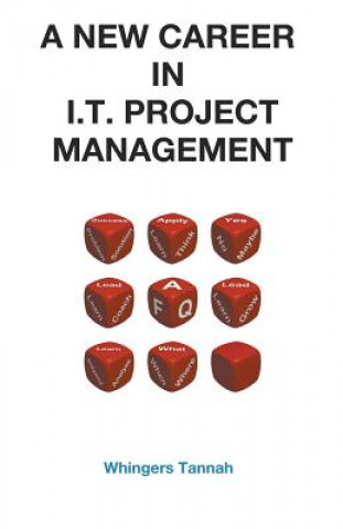 New Career in It Project Management