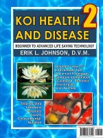 Koi Health & Disease: Everything You Need to Know 2nd Edition