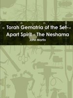 Torah Gematria of the Set-Apart Spirit - the Neshama