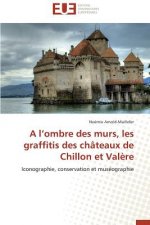 L Ombre Des Murs, Les Graffitis Des Ch teaux de Chillon Et Val re