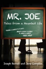 Mr. Joe