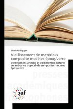 Vieillissement de Materiaux Composite Modeles Epoxy/Verre