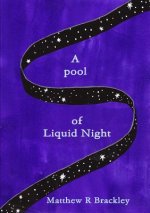 Pool of Liquid Night