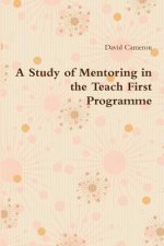 Study of Mentoring in the Teach First Programme