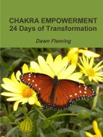 Chakra Empowerment: 24 Days of Transformation