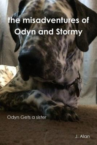 Misadventures of Odyn and Stormy