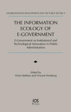 Information Ecology of E-government