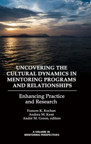 Uncovering the Cultural Dynamics in Mentoring Programs and Relationships