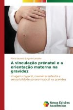 vinculacao prenatal e a orientacao materna na gravidez