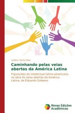 Caminhando pelas veias abertas da America Latina