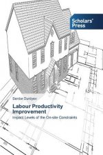 Labour Productivity Improvement