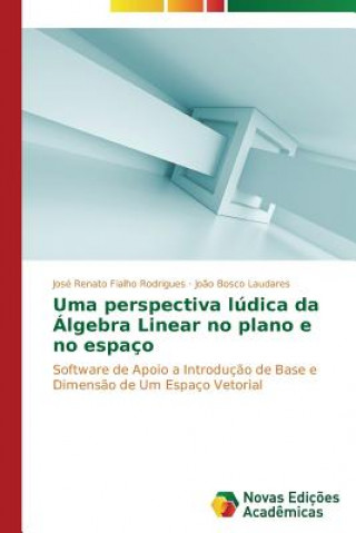 Uma perspectiva ludica da Algebra Linear no plano e no espaco