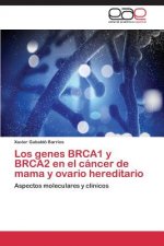 genes BRCA1 y BRCA2 en el cancer de mama y ovario hereditario