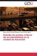 Estudio de puntos criticos de accidentalidad en la ciudad de Asuncion