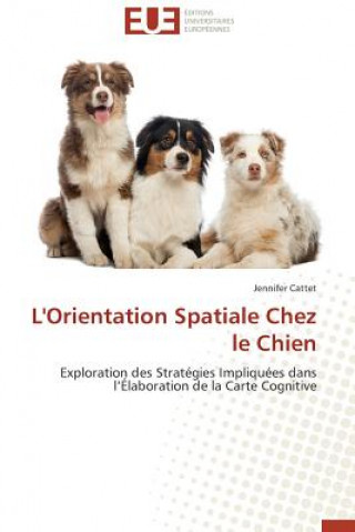 L'Orientation Spatiale Chez Le Chien