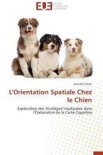 L'Orientation Spatiale Chez Le Chien