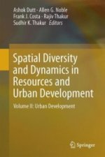 Spatial Diversity and Dynamics in Resources and Urban Development