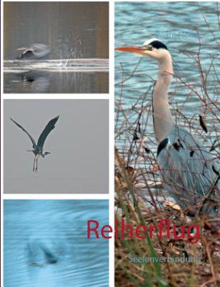 Reiherflug