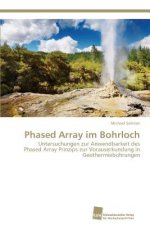 Phased Array im Bohrloch