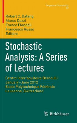Stochastic Analysis: A Series of Lectures