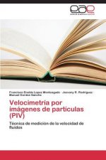 Velocimetria por imagenes de particulas (PIV)