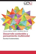 Desarrollo sostenible y pensamiento multimodal