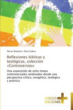 Reflexiones biblicas y teologicas, coleccion Controversias