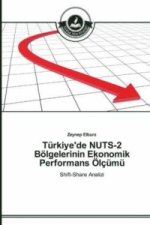 Turkiye'de NUTS-2 Boelgelerinin Ekonomik Performans OElcumu