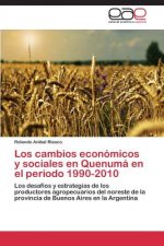 cambios economicos y sociales en Quenuma en el periodo 1990-2010