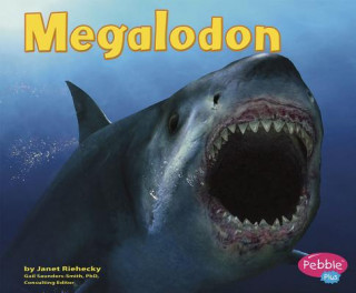 Megalodon