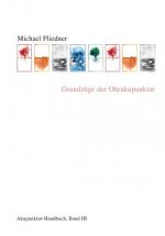 Grundzuge der Ohrakupunktur
