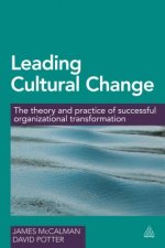 Leading Cultural Change