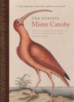 Curious Mister Catesby