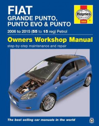 Fiat Grande Punto, Punto Evo & Punto Petrol ('06-'15) 55 To 15