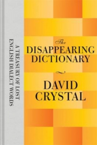 Disappearing Dictionary