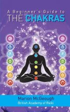 Beginner's Guide to the Chakras