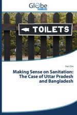 Making Sense on Sanitation