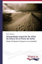 Arqueologia espacial de sitios de altura en la Puna de Salta