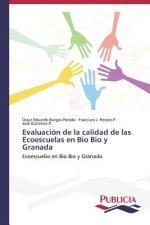 Evaluacion de la calidad de las Ecoescuelas en Bio Bio y Granada